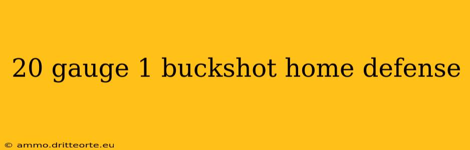 20 gauge 1 buckshot home defense