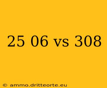 25 06 vs 308