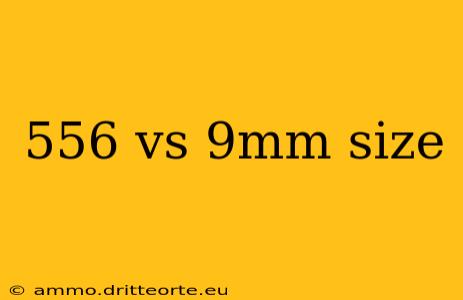 556 vs 9mm size