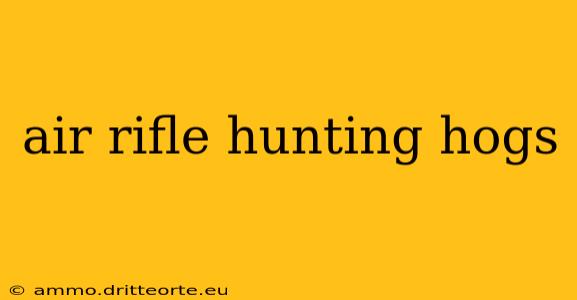 air rifle hunting hogs