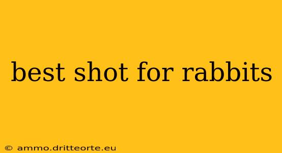 best shot for rabbits