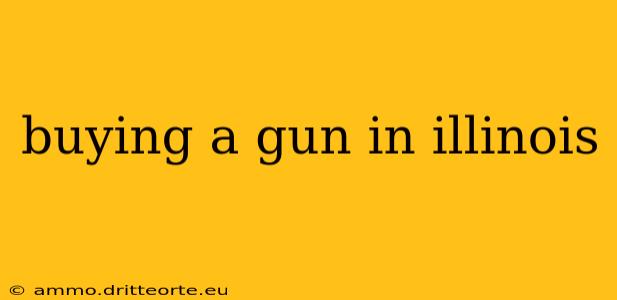 buying a gun in illinois