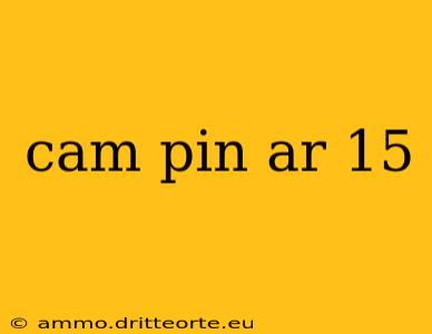 cam pin ar 15