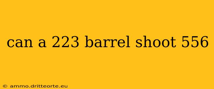 can a 223 barrel shoot 556