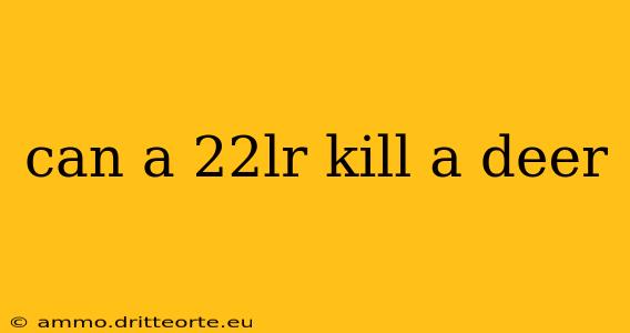 can a 22lr kill a deer