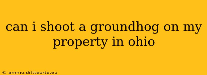 can i shoot a groundhog on my property in ohio