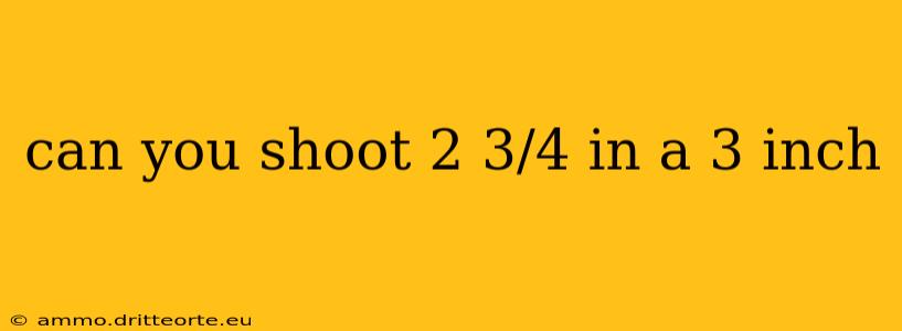 can you shoot 2 3/4 in a 3 inch