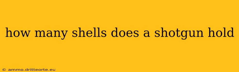 how many shells does a shotgun hold