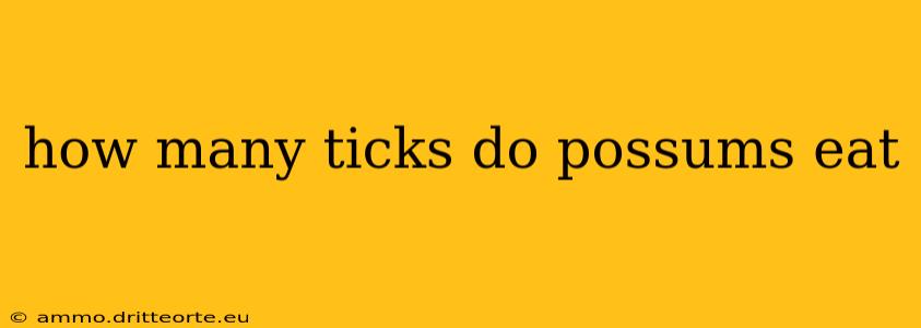 how many ticks do possums eat