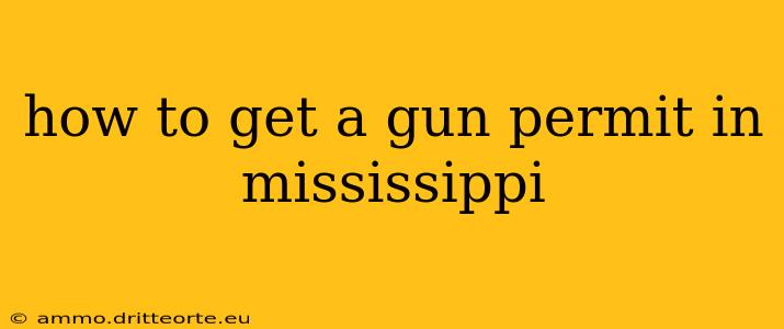 how to get a gun permit in mississippi