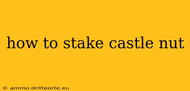 how to stake castle nut