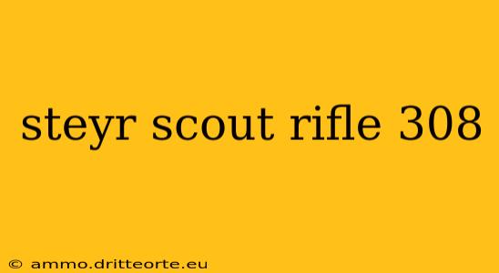 steyr scout rifle 308