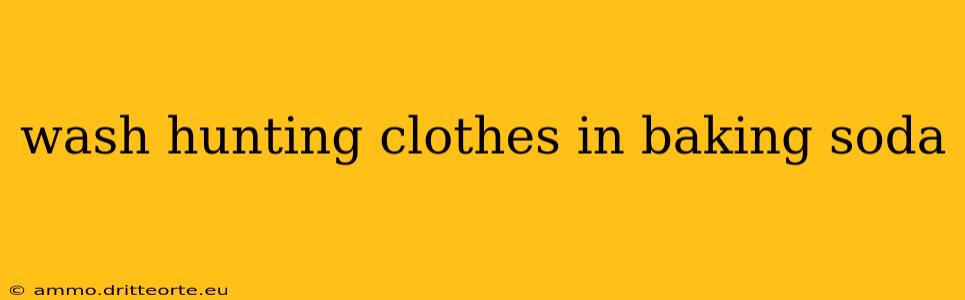 wash hunting clothes in baking soda