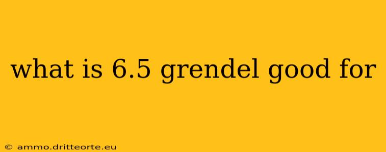 what is 6.5 grendel good for