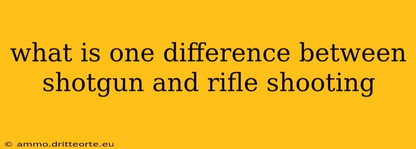 what is one difference between shotgun and rifle shooting