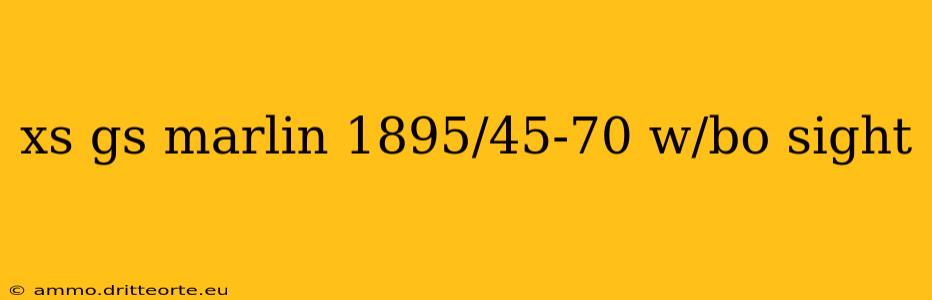 xs gs marlin 1895/45-70 w/bo sight